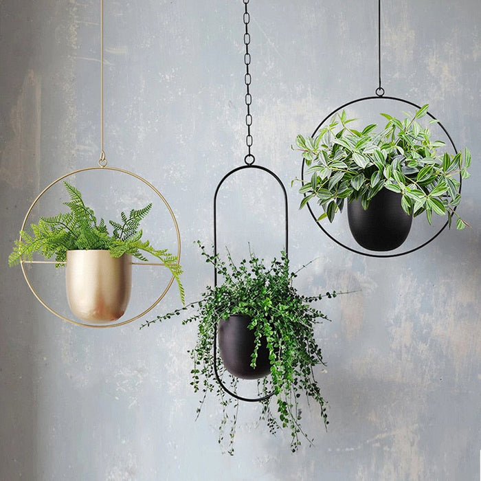 FLORA | Luxe Plantenhanger | Elegant Ontwerp voor Binnen en Buiten